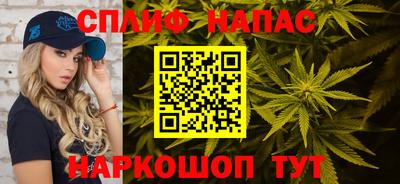 гидропоника Будённовск