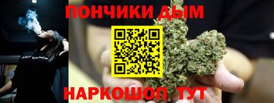 гидропоника Будённовск