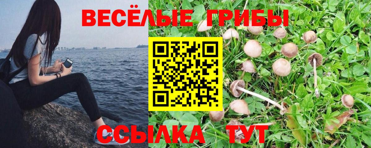 цена   Галлюциногенные грибы ЛСД  Вход с VPN  Находка 