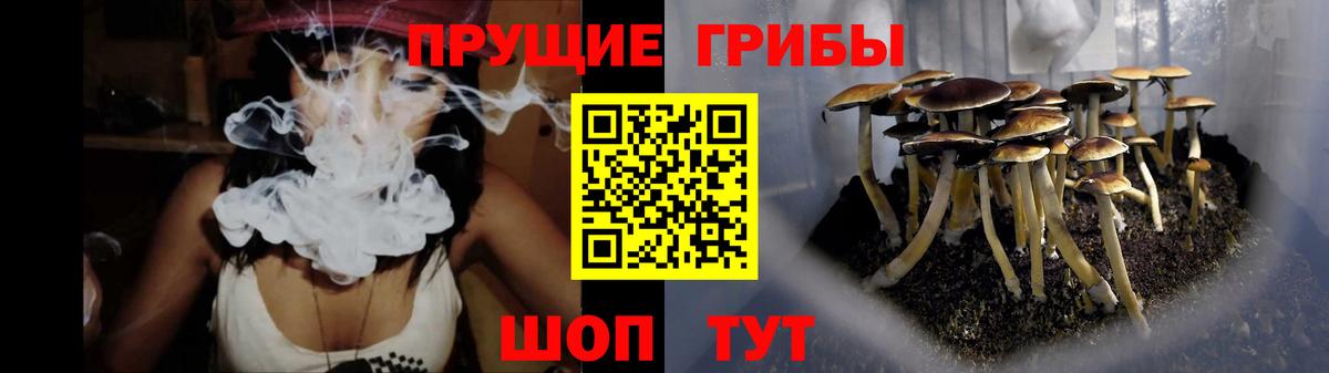 Галлюциногенные грибы ЛСД Находка